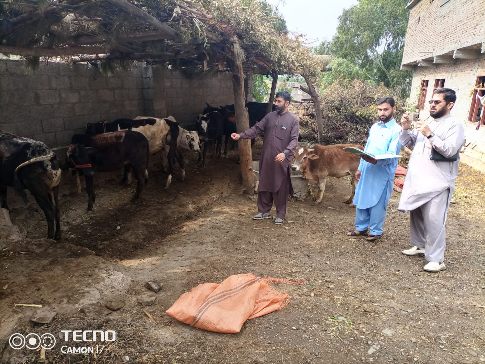 190104- FEEDLOT FATTENING PROGRAM IN KHYBER PAKHTUNKHWA