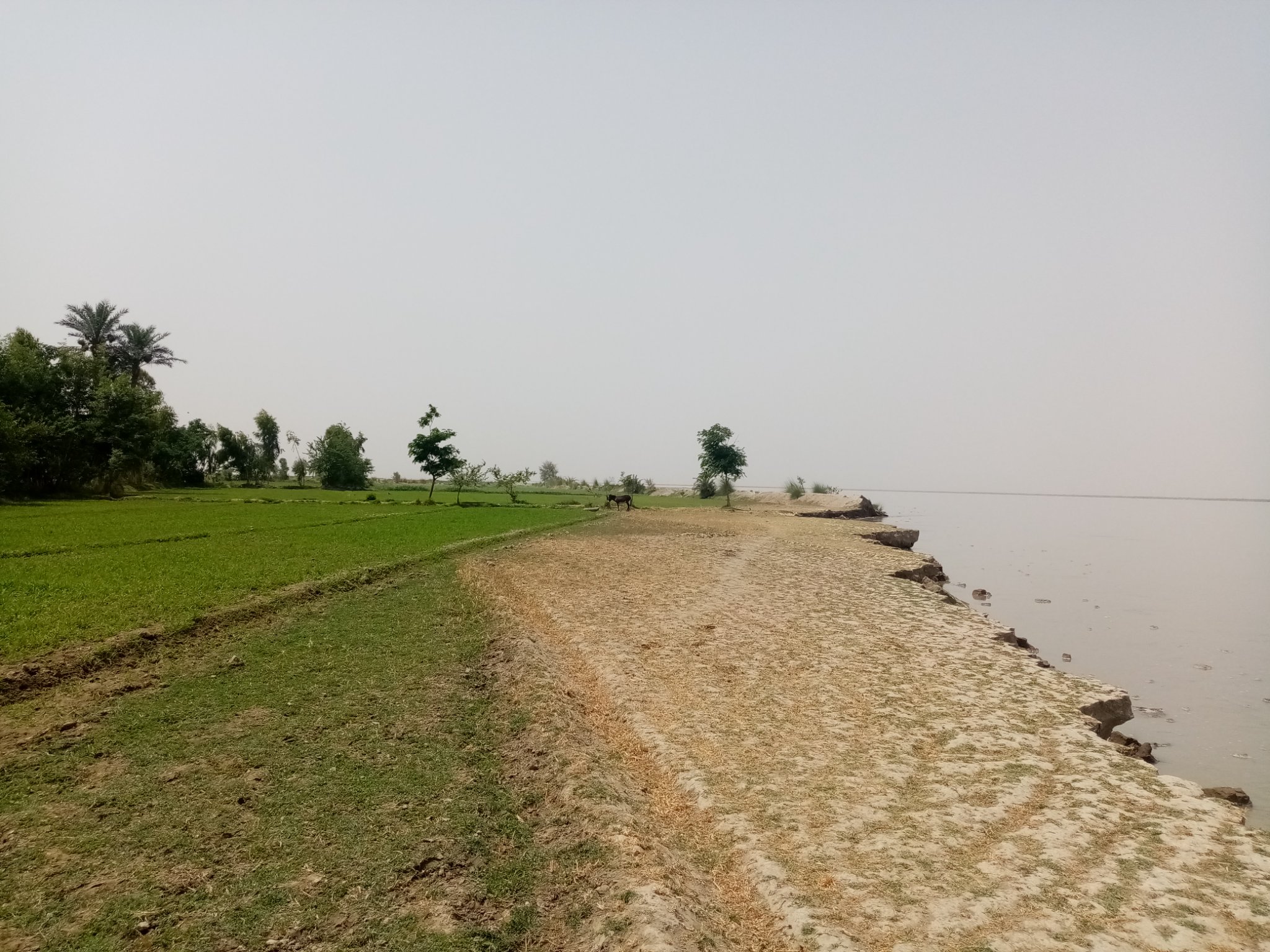 Non-ADP 211038 - Construction Of Flood Protection Works On Left Bank Of River Indus In Mouza Noorpur Palyar Tehsil Paroa District D.I. Khan 